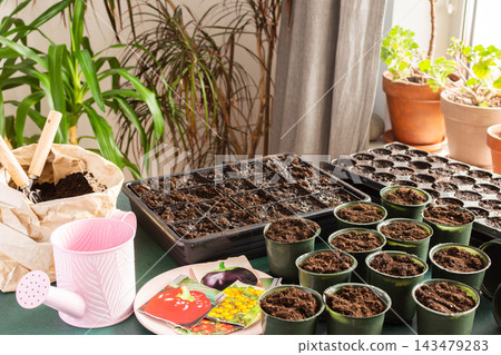 This setting features a range of small pots filled with soil, planning trays, and gardening tools as tomato seeds are carefully planted indoors in preparation for spring growth This setting features a range of small pots filled with soil, planning trays, and gardening tools as tomato seeds are carefully planted indoors in preparation for spring growth 143479283