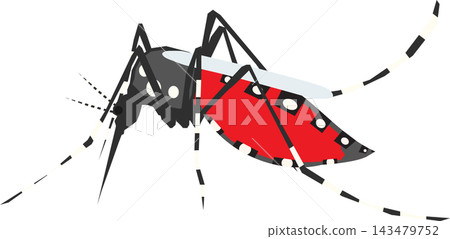 Mosquito household pest illustration, dengue and malaria disease carrier, pest control education 143479752