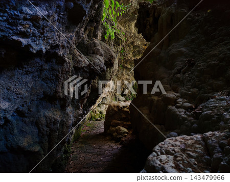 Narrow stone path leading through a deep natural cave with rugged limestone walls. Narrow stone path leading through a deep natural cave with rugged limestone walls. 143479966