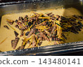 Cooked sea snails in yellow coconut curry sauce with lemongrass and herbs in metal serving tray, exotic Asian seafood dish 143480141