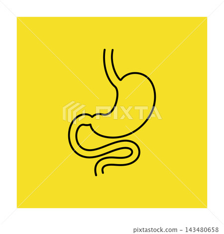 Black line drawing of human stomach and intestine on yellow square background Black line drawing of human stomach and intestine on yellow square background 143480658