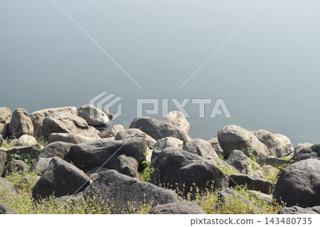 Rocks along the Selorejo Dam in Malang Regency. Ideal for nature, coastal, or geology themes. 143480735