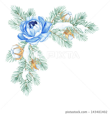 Watercolor Christmas corner border with blue peony, snowy pine branches and cotton isolated, winter floral frame 143481402