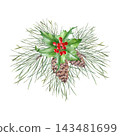 Christmas holly plants with red berries, green leaves, fir branches, and pine cones. Watercolor isolated illustration. Composition for New Year's greeting cards and packaging. 143481699