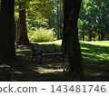 Landscape with park benches 143481746