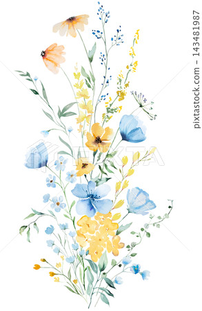 Bouquet with blue and yellow watercolor wildflowers and leaves, floral wedding illustration Bouquet with blue and yellow watercolor wildflowers and leaves, floral wedding illustration 143481987
