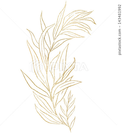 Floral bouquet with golden hand drawn leaves, isolated illustration. Botanical wedding element Floral bouquet with golden hand drawn leaves, isolated illustration. Botanical wedding element 143481992