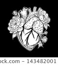 Anatomical Human Heart with Peony Flowers Vector Art 143482001