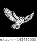 Flying Barn Owl Bird Portrait Vector Line Art 143482003