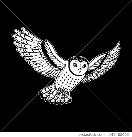 Flying Barn Owl Bird Portrait Vector Line Art Flying Barn Owl Bird Portrait Vector Line Art 143482003
