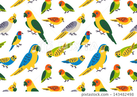 Pet birds seamless pattern with flat cartoon cockatiels, budgerigars, lovebirds and Gouldian finches. Vector illustration for exotic bird species and aviary theme, cute pet birds background Pet birds seamless pattern with flat cartoon cockatiels, budgerigars, lovebirds and Gouldian finches. Vector illustration for exotic bird species and aviary theme, cute pet birds background 143482498