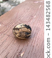 Single walnut in shell on weathered wooden board with peeling paint, rustic autumn still life 143482568