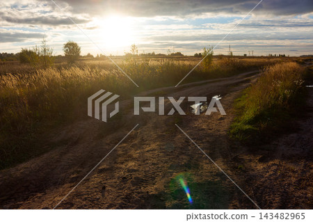 Bright sunset light floods rugged dirt road cutting through wild grassy field, evening sun rays pierce dramatic cloudy sky Bright sunset light floods rugged dirt road cutting through wild grassy field, evening sun rays pierce dramatic cloudy sky 143482965