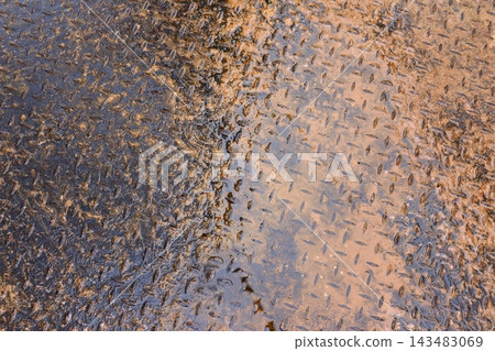 Textured metal surface of a pedestrian bridge, showing signs of rust and melting winter slush, creating a raw, organic feel Textured metal surface of a pedestrian bridge, showing signs of rust and melting winter slush, creating a raw, organic feel 143483069