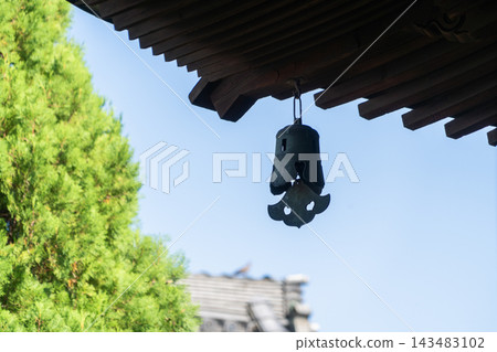 稻澤市長光寺寺院內的景色 143483102