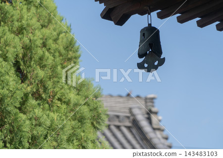 稻澤市長光寺寺院內的景色 143483103