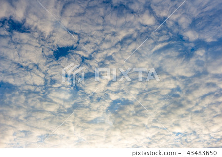 Vast blue sky filled with puffy altocumulus clouds creating a textured celestial pattern during a bright day, capturing the soft light and airy atmosphere of a peaceful morning breeze Vast blue sky filled with puffy altocumulus clouds creating a textured celestial pattern during a bright day, capturing the soft light and airy atmosphere of a peaceful morning breeze 143483650