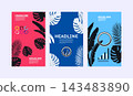 Modern Tropical Leaf Vector Poster Set Featuring Vibrant Colors and Geometric Infographic Elements 143483890