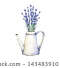 Vintage white watering can filled with blooming lavender flowers. Hand-painted botanical artwork isolated. Ideal for gardening, botanical, farmhouse, and nature-themed designs 143483910