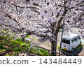A scene from a Japanese spring street corner, overlooking a road lined with cherry blossoms in full bloom and a parked white car. 143484449