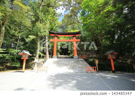 宇佐神社的鳥居,周圍環繞著湛藍的天空和茂密的森林(日本大分縣宇佐市) 宇佐神社的鳥居,周圍環繞著湛藍的天空和茂密的森林(日本大分縣宇佐市) 143485347