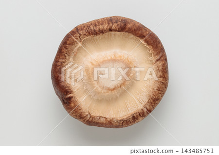 A shiitake mushroom cap and gills viewed from directly above against a white background. 143485751