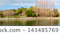 winter park 143485769