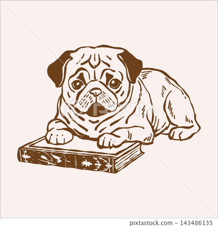 A pug dog resting on a book. Vector outline sketch on the theme of reading and cute pets. Vintage illustration in beige and brown tones. A pug dog resting on a book. Vector outline sketch on the theme of reading and cute pets. Vintage illustration in beige and brown tones. 143486135