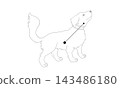 Monochrome line drawing illustration of Canis Minor (a puppy and constellation lines) 143486180