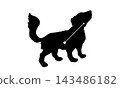 Silhouette illustration of Canis Minor (a small dog and constellation lines) 143486182