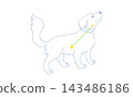 Color line art illustration of Canis Minor (a puppy and constellation lines) 143486186