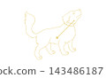 Line art illustration of Canis Minor (a small dog and constellation lines in gold, line art only, no coloring) 143486187