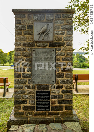 Passenger Pigeon Monument in Pennsylvania, United States Passenger Pigeon Monument in Pennsylvania, United States 143486751