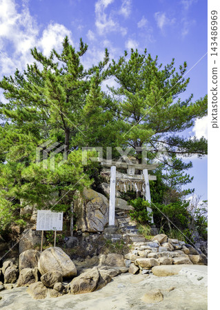箱島神社（福岡縣糸島市）：相親的聖地。 143486969
