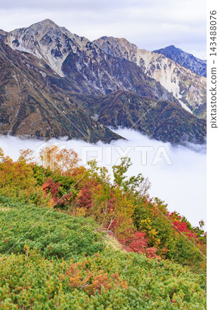 Happo-one with autumn foliage in full bloom Happo-one with autumn foliage in full bloom 143488076