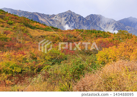 Happo-one with autumn foliage in full bloom Happo-one with autumn foliage in full bloom 143488095