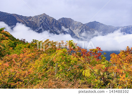 Happo-one with autumn foliage in full bloom Happo-one with autumn foliage in full bloom 143488102
