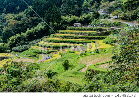 坂織梯田的秋景 坂織梯田的秋景 143488178