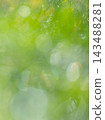 閃亮的圖案，清新的綠色，環保的形象 143488281
