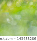 閃亮的圖案，清新的綠色，環保的形象 143488286
