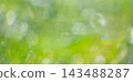 閃亮的圖案，清新的綠色，環保的形象 143488287