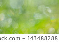 閃亮的圖案，清新的綠色，環保的形象 143488288