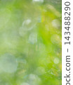 閃亮的圖案，清新的綠色，環保的形象 143488290