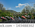Carp streamers swimming against a blue sky and lush greenery in the spring countryside of Hakuba Village, Nagano Prefecture [Nagano Hakuba Landscape Photo] 143488302