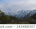 Spring mountain scenery in Hakuba Village, Nagano Prefecture, with the snow-capped Northern Alps visible up close. [Nagano Hakuba Landscape Photography] 143488307