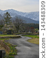 A springtime country road in Hakuba Village, Nagano Prefecture, leading to the snow-capped Northern Alps [Nagano Hakuba Landscape Photography] 143488309