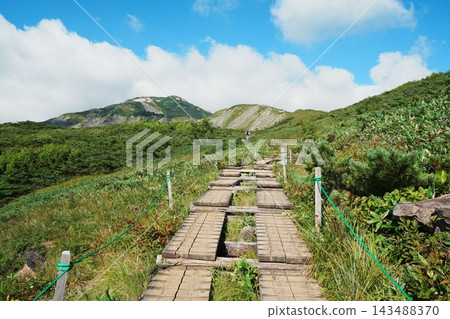 在藍天之下,一條木棧道穿過綠色的草地,通往遠方的山脈。 在藍天之下,一條木棧道穿過綠色的草地,通往遠方的山脈。 143488370