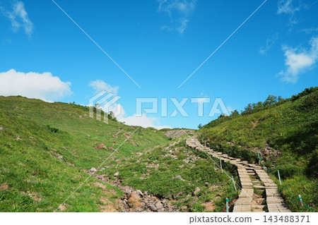 A wooden boardwalk winds its way up through a green valley under a clear blue sky. 143488371
