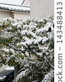 Branches of garden trees in a residential area bend under the weight of snow. 143488413