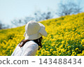 A figure in a white hat, seen from behind, overlooking a slope covered in rapeseed flowers. 143488434